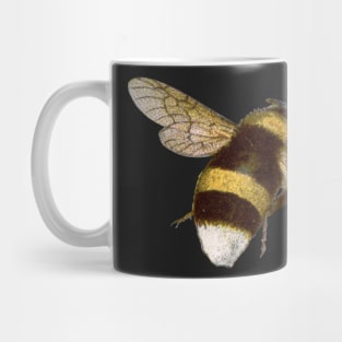 A Little Buzzy Bee Mug